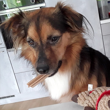 Abby - Wie ich hab Mundgeruch?