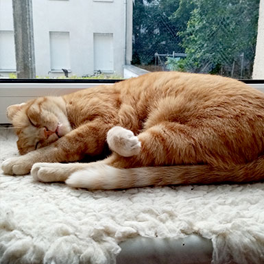 Alex - Die Woche beginnt so anstrengend.