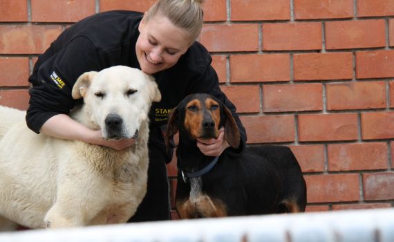 Tierschutzverein in Hamburg und München