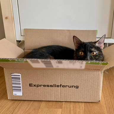 Coco - Wenn´s besonders eilig ist...
