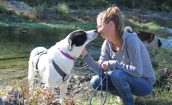 Look-Tierschutzverein Deutschland e.V.