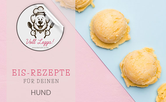 Eis-Rezepte für deinen Hund