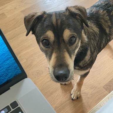 Lotti - Musst du noch lange arbeiten?