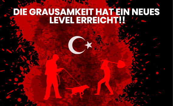 Massenmord an Straßentieren in der Türkei
