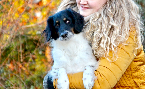 Look Tierschutzverein