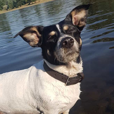 Ursel - Ins Wasser? Nö!